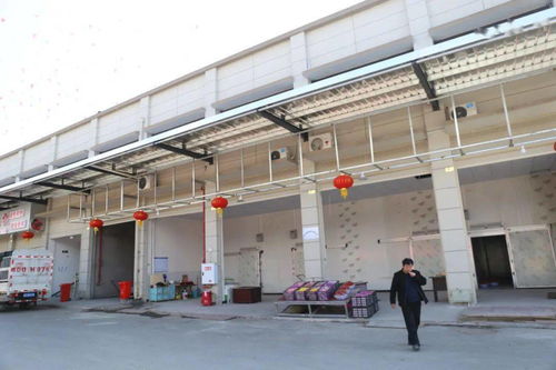 華南農產品批發市場春節銷售創佳績，金屬及金屬礦批發業務亮點頻現