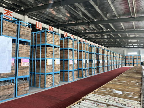 山東黃金探明國內最大單體金礦床，交出高質量發展新答卷